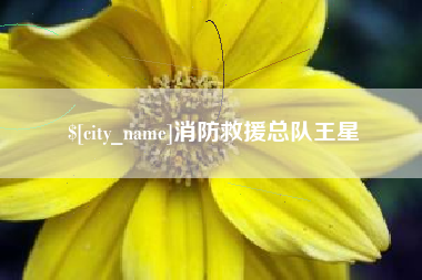 台湾消防救援总队王星