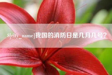 台湾我国的消防日是几月几号？