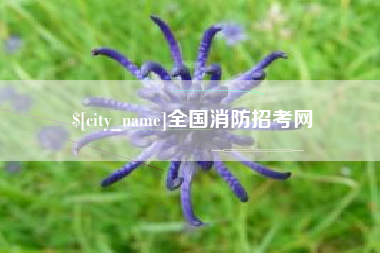 台湾全国消防招考网