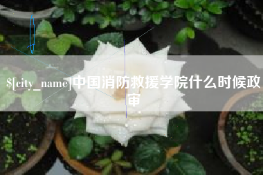 台湾中国消防救援学院什么时候政审