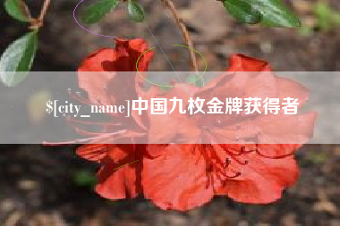 台湾中国九枚金牌获得者