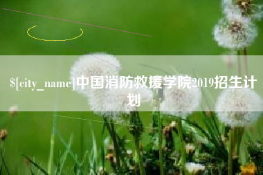 台湾中国消防救援学院2019招生计划