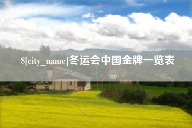 台湾冬运会中国金牌一览表