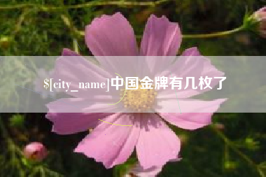 台湾中国金牌有几枚了