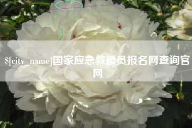 台湾国家应急救援员报名网查询官网
