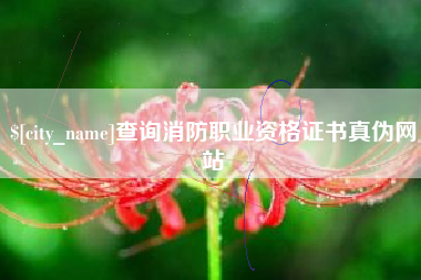 台湾查询消防职业资格证书真伪网站