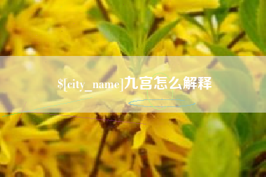 台湾九宫怎么解释