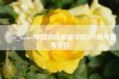 台湾中国消防救援学院2020高考报考条件