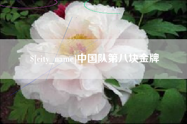 台湾中国队第八块金牌