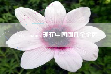 台湾现在中国哪几个金牌