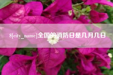 台湾全国的消防日是几月几日