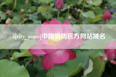 台湾中国消防官方网站域名