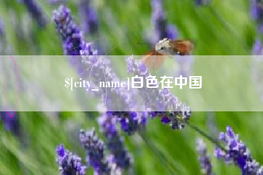 台湾白色在中国