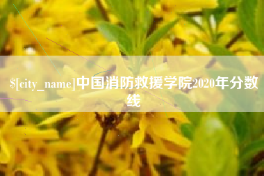台湾中国消防救援学院2020年分数线