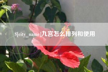 台湾九宫怎么排列和使用