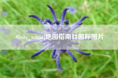 台湾地图指南针图标图片