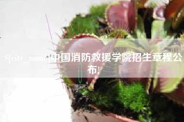 台湾中国消防救援学院招生章程公布!