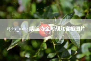 台湾奥运夺金时刻九宫格图片