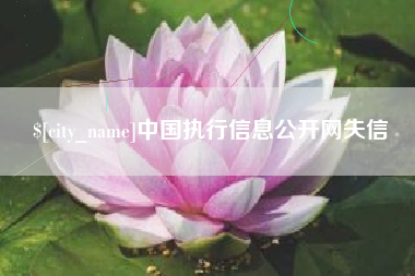 台湾中国执行信息公开网失信