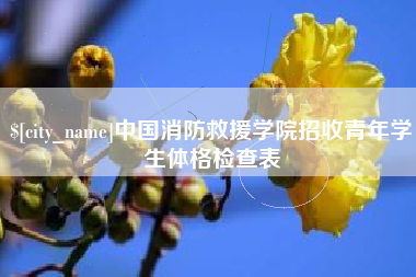 台湾中国消防救援学院招收青年学生体格检查表