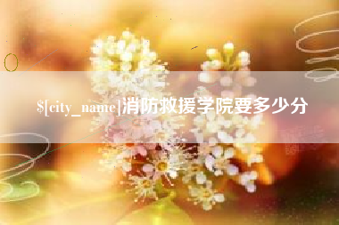台湾消防救援学院要多少分