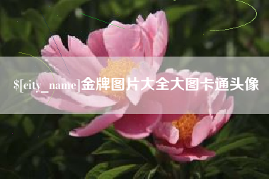 台湾金牌图片大全大图卡通头像