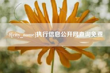 台湾执行信息公开网查询免费