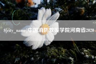 台湾中国消防救援学院河南省2020